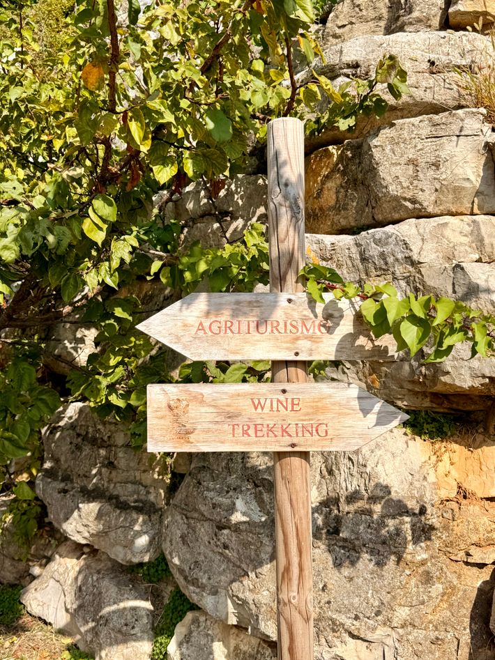 Agricampeggio Al Rocol