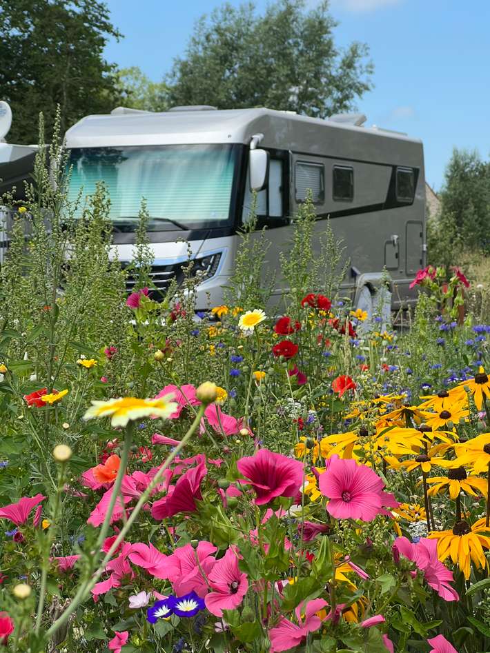 Camperpark Zuienkerke