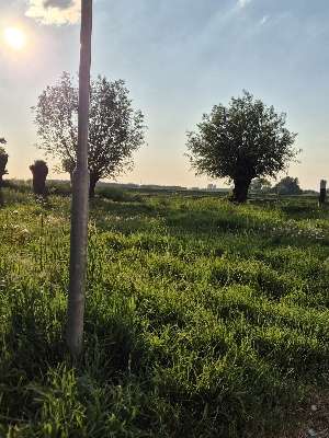 Een foto toegevoegd aan een locatie