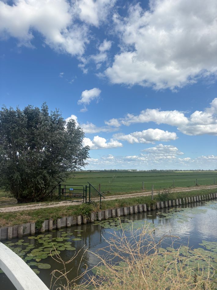 Camping boerderij van Winden