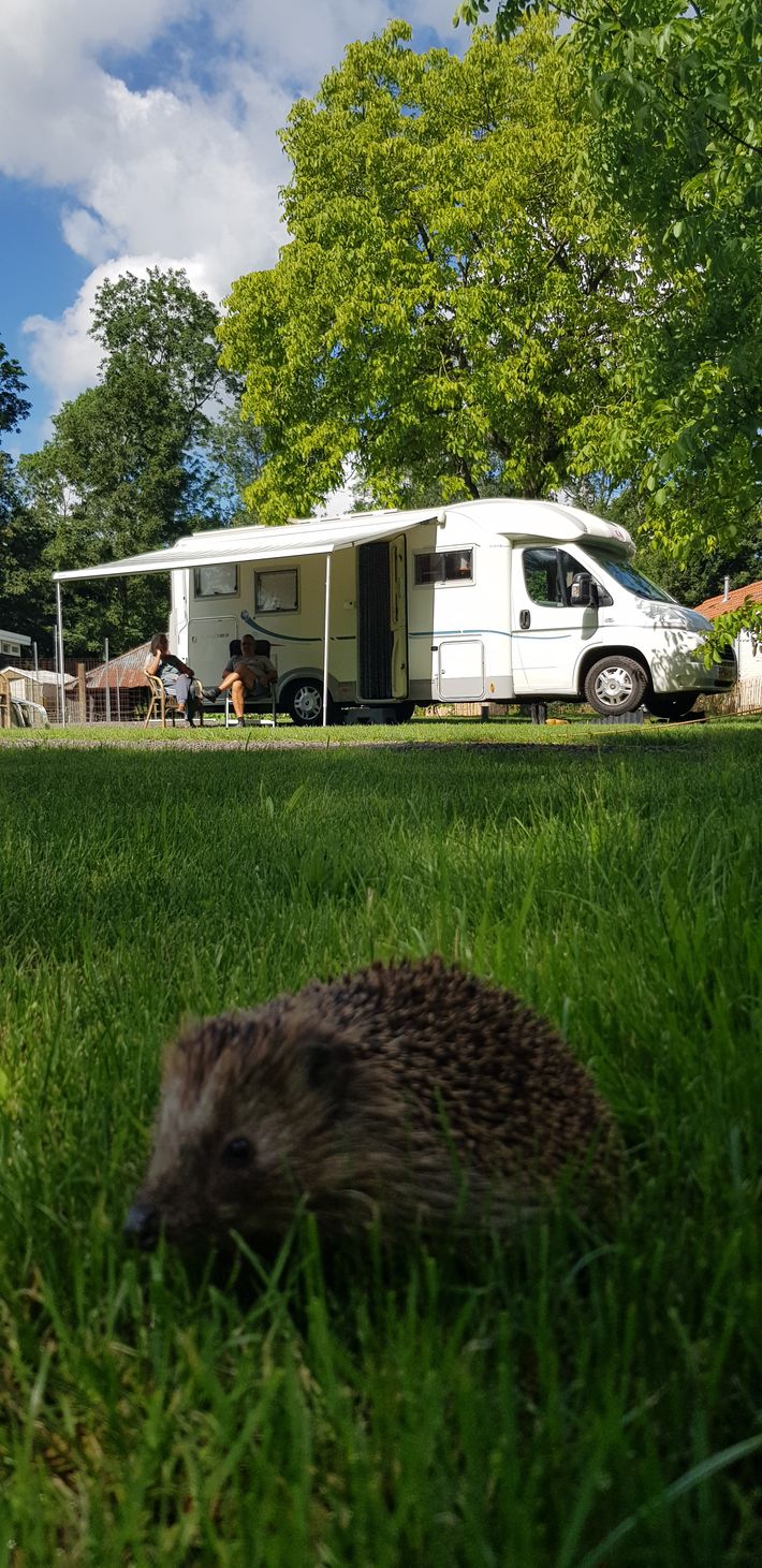 Camping Fiederels