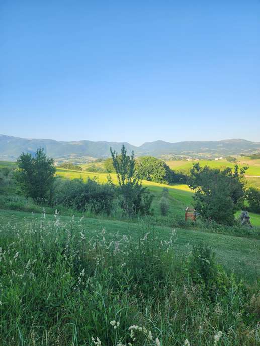 Added a photo to a location