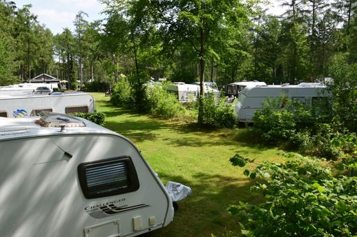 Camping het Horstmannsbos