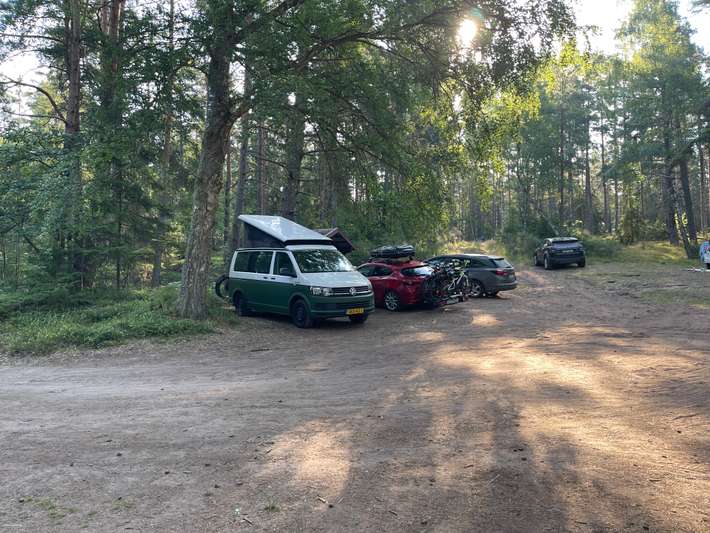 Hattarevik