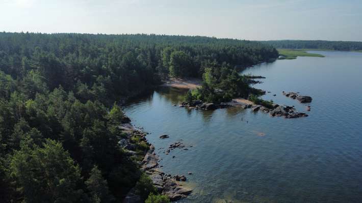 Hattarevik