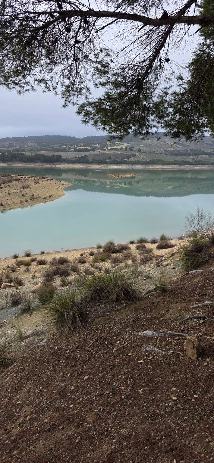 Camping Los Bermejales