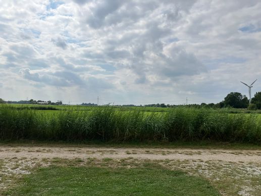 Added a photo to a location