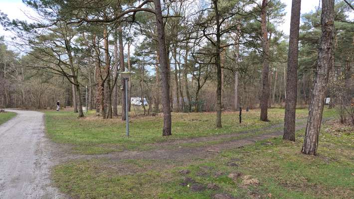 Bospark Langeloërduinen Norg