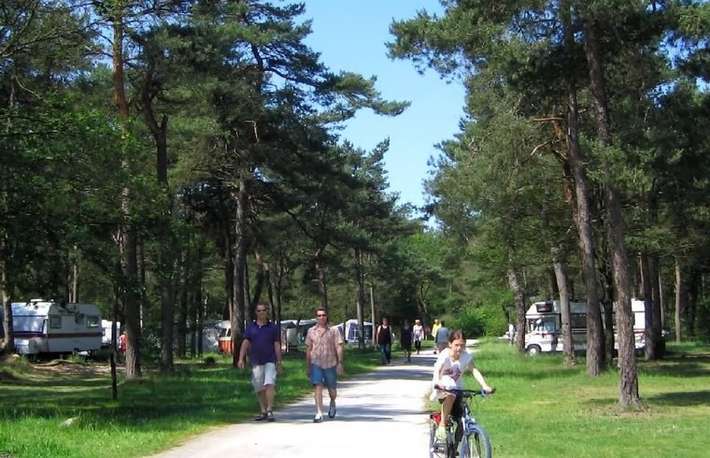 Bospark Langeloërduinen Norg
