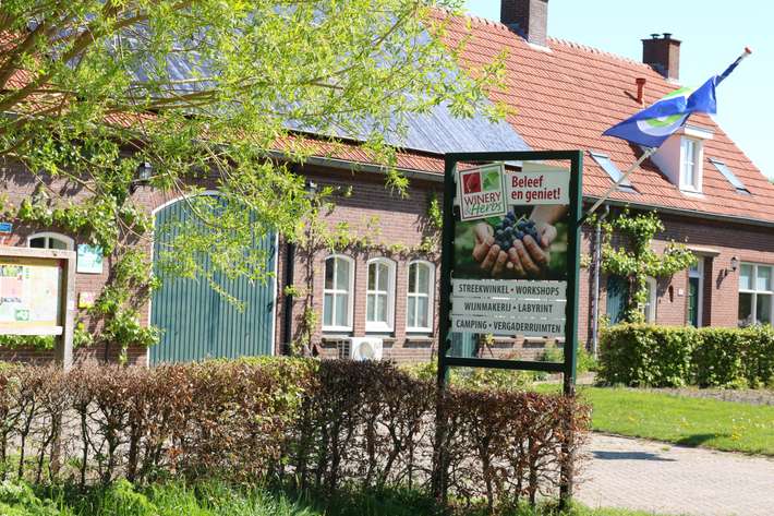 Wijnboerderij Winery & Herbs, camping