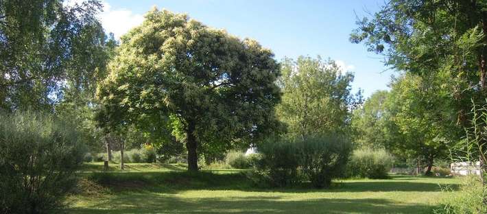 Camping Chaumes Du Mont