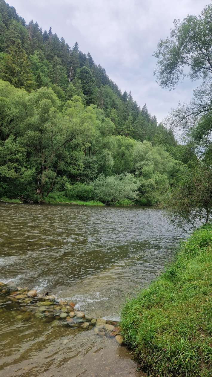 Camping Borová Sihot