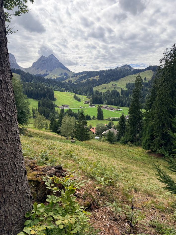 Restaurant Gasthof Schneehas Schwändli 135 A 3619 Innereriz