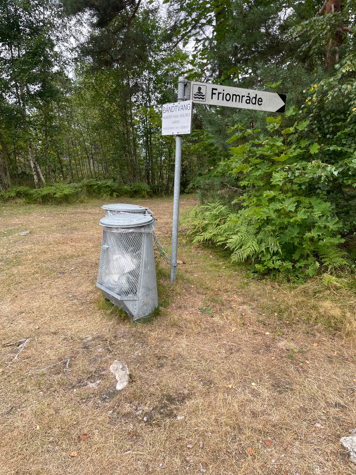 Kalvodden