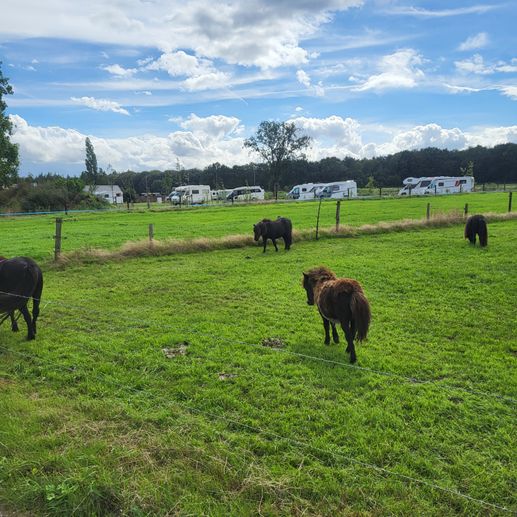Een foto toegevoegd aan een locatie