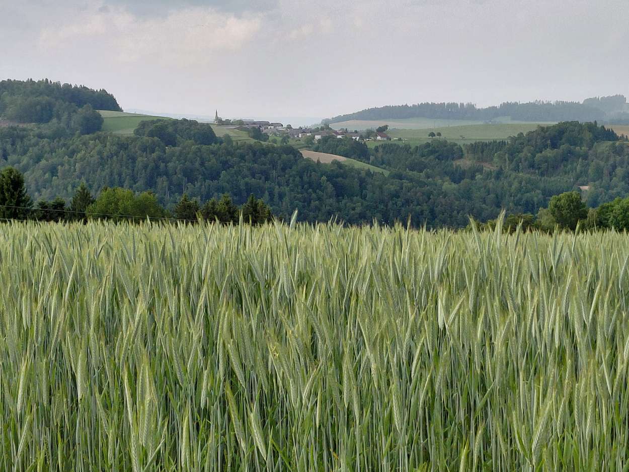 Stellplatz Birgit und Erwin Enzenberger