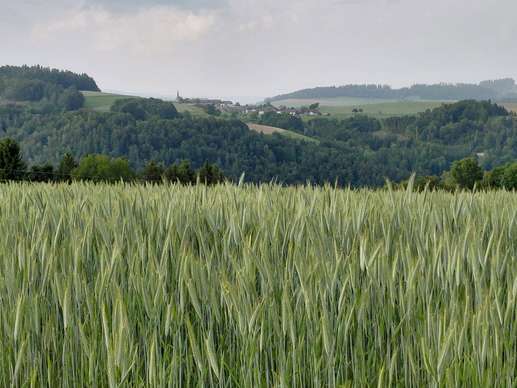 Einem Ort wurde ein Foto hinzugefügt
