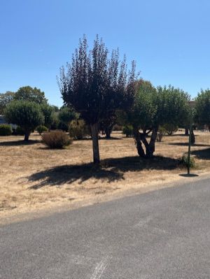 Caravaning des 4 Vents