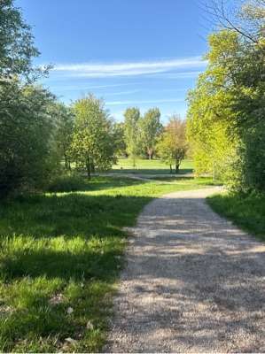 Een foto toegevoegd aan een locatie