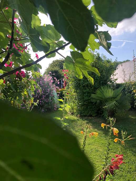 Added a photo to a location