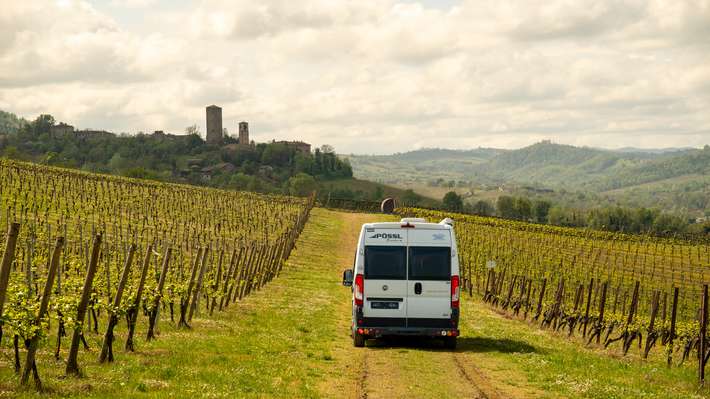 Camper Wine