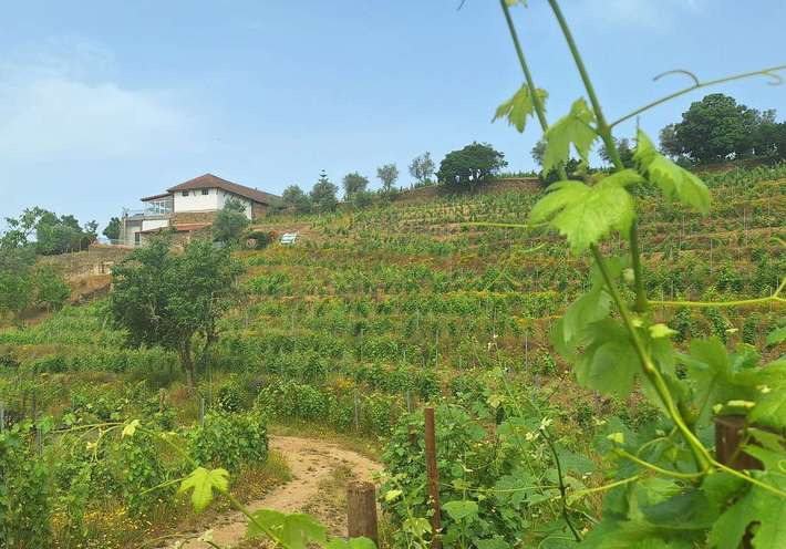 Quinta do Roncão