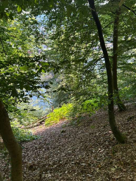 Ajout d'une photo à un emplacement