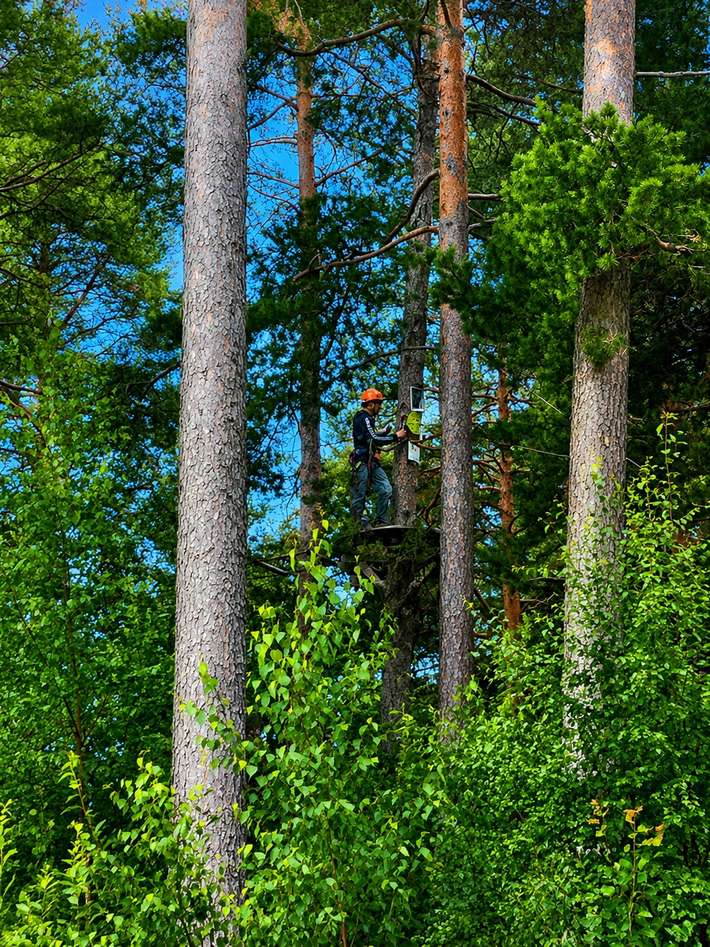 Rättviks Camping - First Camp Enåbadet Rättvik