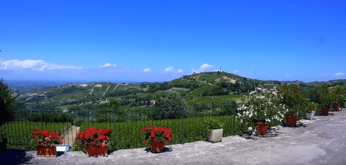 Azienda Agricola La Trava