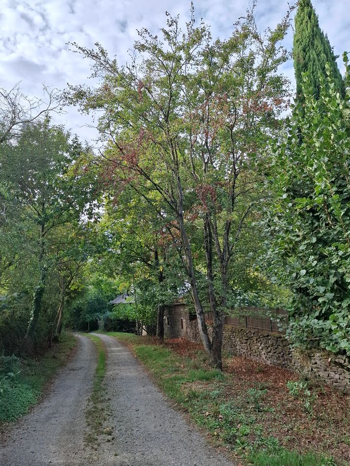 Camping Manoir Soeuvres 