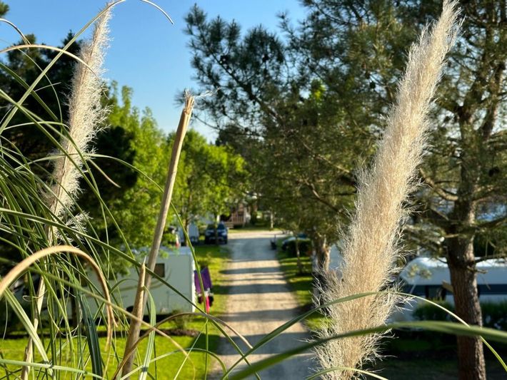 Camping de Prigny