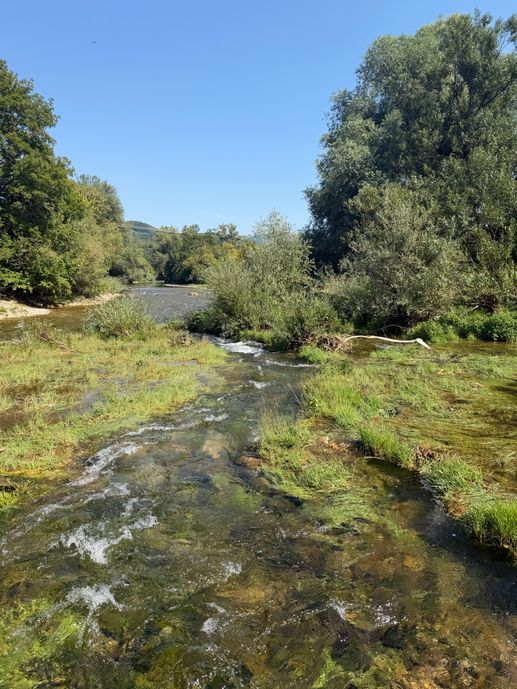 Een foto toegevoegd aan een locatie
