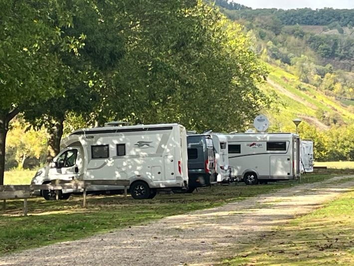 Mosel Stellplatz Wintrich