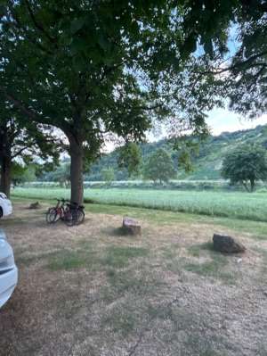 Mosel Stellplatz Wintrich
