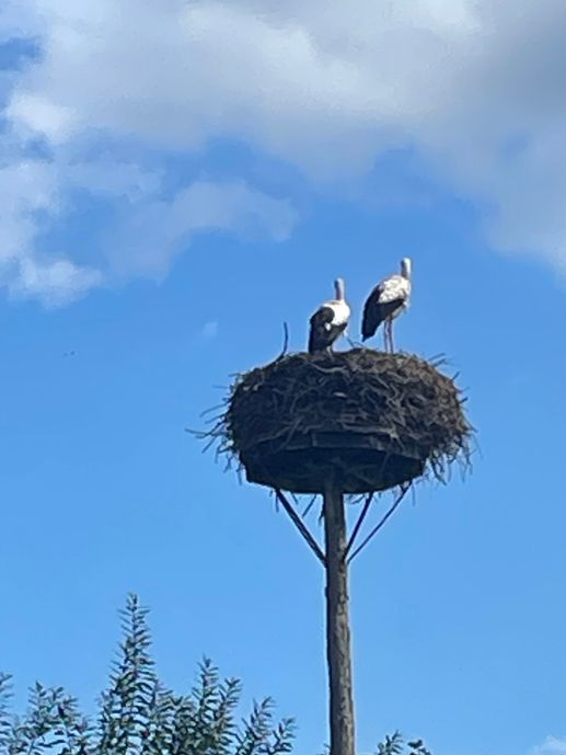 Een foto toegevoegd aan een locatie