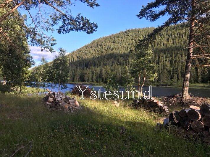 Ystesund Gard Fyresdal Telemark Norway 