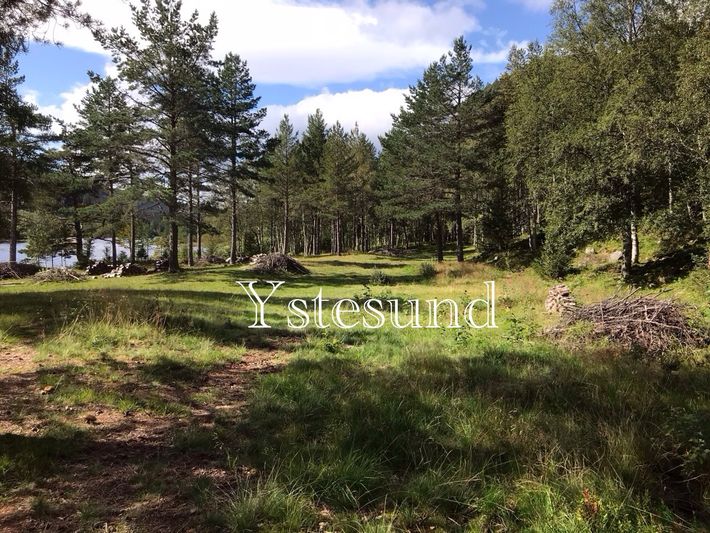 Ystesund Gard Fyresdal Telemark Norway 