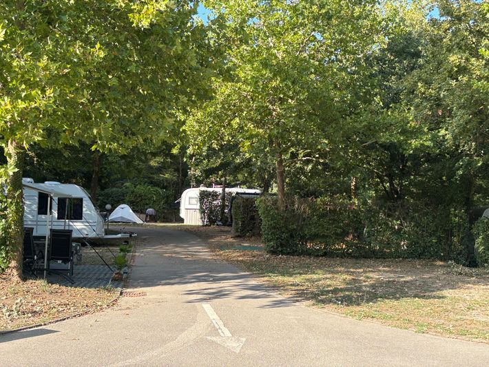 Camping Bois-de-Bay