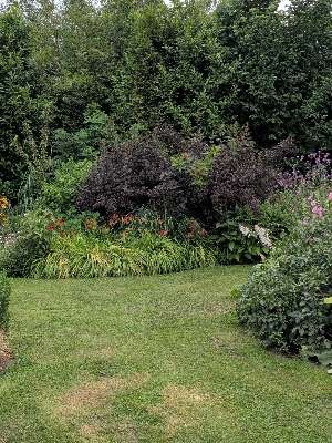 Added a photo to a location