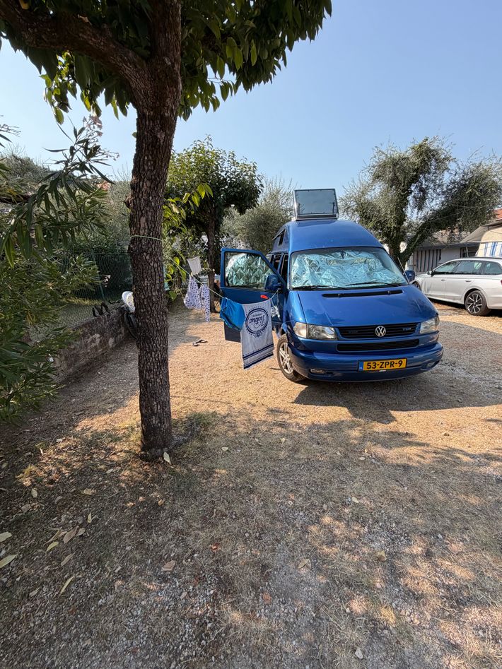 Oliveti