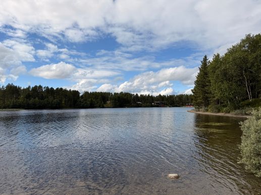 Added a photo to a location
