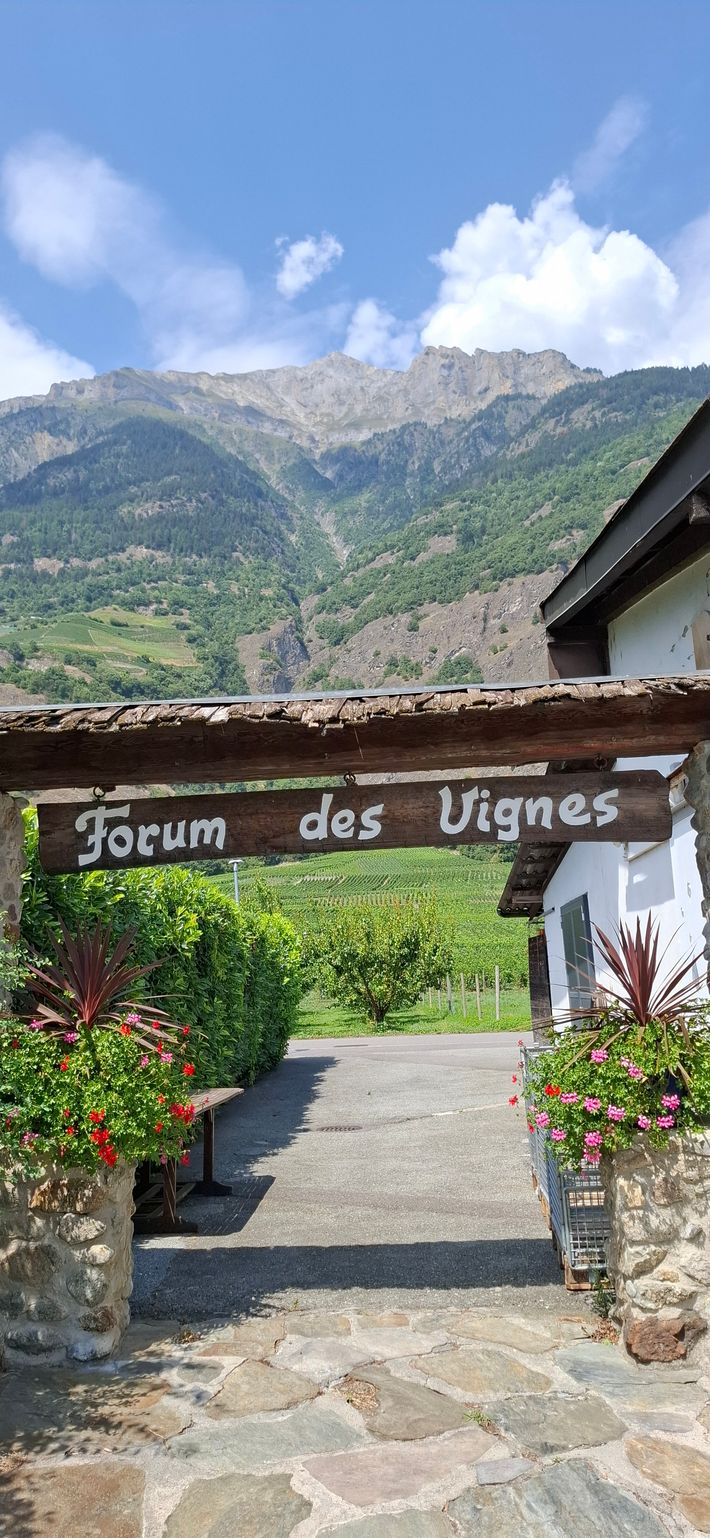 Forum des vignes