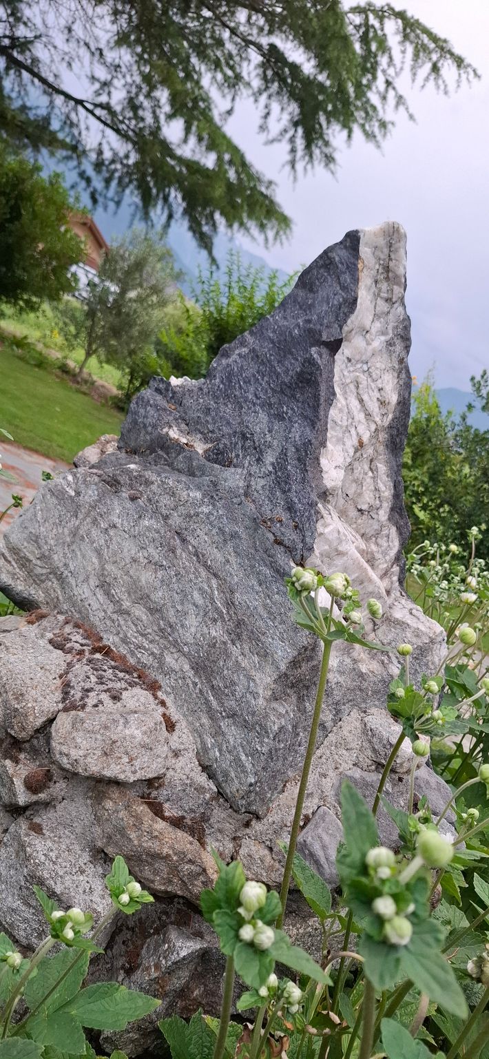 Forum des vignes