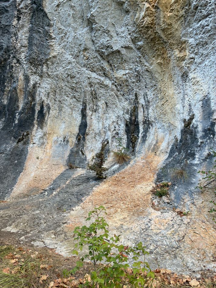 Camping Skoflje