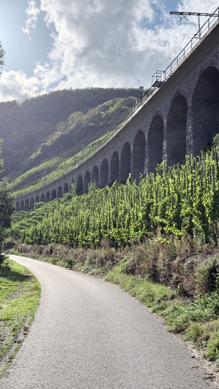 Wohnmobilstellplatz Reil Mosel