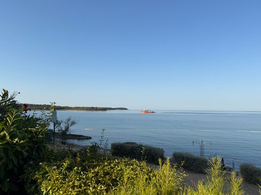 Added a photo to a location