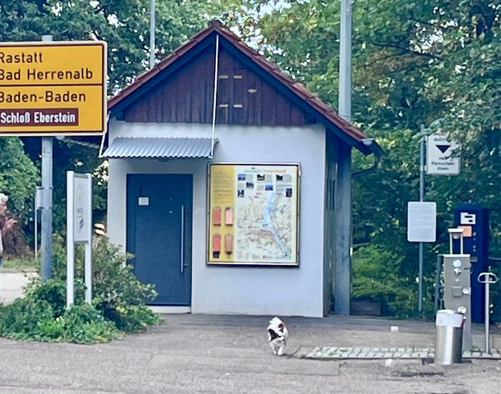 Murginsel