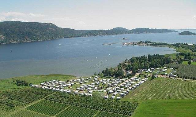 Homannsberget
