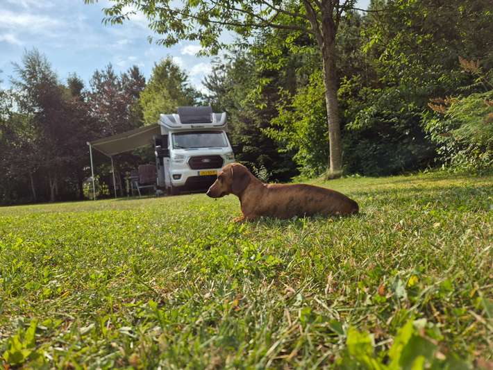 Lis og Henrik Autocamperplads