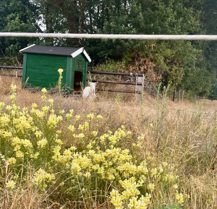 Camping de Sleutel